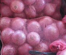 Egyptian Fresh Red Onions