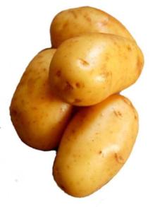 Egyptian Fresh Potatoes