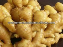 fresh ginger