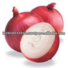 Red onion
