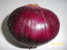 ONION