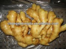 china dry ginger 2013 high quality