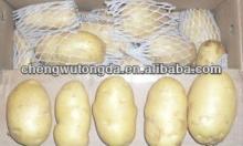 High Quality Long Shape Fresh Potato for Sale