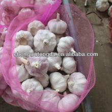 2014 garlic import for garlic importers