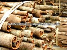 Cinnamon Cassia Vietnam