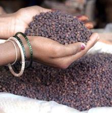 Pure and Clean Viet Nam Black Pepper 450GL