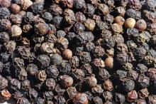 VIETNAM BLACK PEPPER BEST PRICE GOOD QUALITY