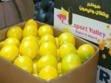 Fresh Yellow lemon from MEXICO