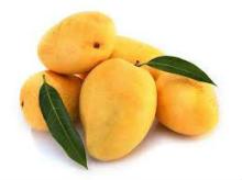  Pakistani  Mango