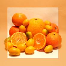 Fresh Citrus Fruit