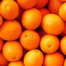 Fresh Oranges from Morocco-North Africa