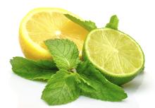 Fresh seedless Limes
