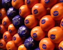  CLEMENTINE S