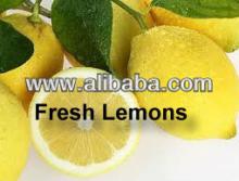 Best price, lemons Primofiori fresh