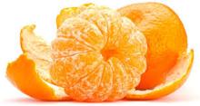 citrus fruit mandarin with own  orchard  and processing factory