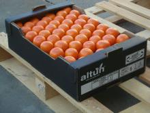 Fresh Mandarin