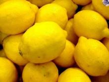 fresh lemon good prices