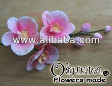 cake decoration gumpaste flower MOTH ORCHID set