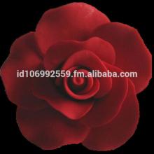 Cake Decorating Gum Paste Flower : Open Rose