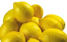 Citrus Fruit