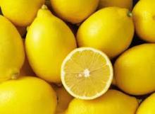 Fresh Citrus Fruit sale