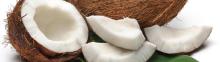 COCONUTFresh Coconut