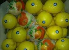 fresh adalia lemons