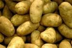 FRESH POTATOES