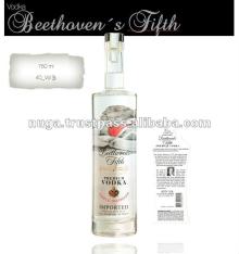 Beethoven s fifth