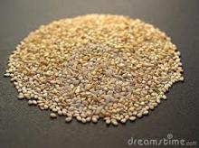 ORGANIC  -  SESAME   SEEDS 