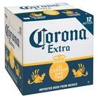 bulk corona extra beer
