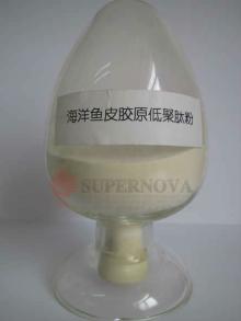 protein over 90% Fish Collagen