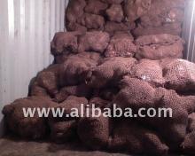 JUMBO COCONUTS