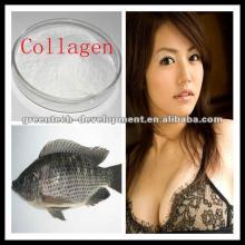 Health Fodd Additive Collagen Fish 90% Protein