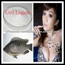 Health Food Additive Collagen Fish 90% protein