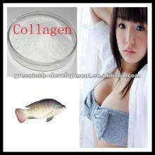 Hot Sell Prefect Quality Collagen Bovine/Porcine/Chicken/Fish 90% protein