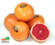  Grapefruit s,  Pomelo s, Easy Peelers, Limes