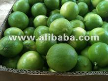  Persian   lime 