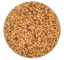 Best Malz Caramel Light Malt