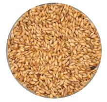 Best Malz Caramel Pilsner (CaraPils)