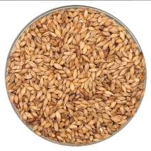 Best Malz Aromatic Malt
