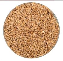 Best Malz Munich Malt