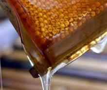 PB Craft Beer Kit  Honey Bee Ale  All Grain