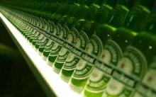 He.i.ne...ke.n beer