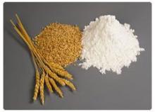 flour