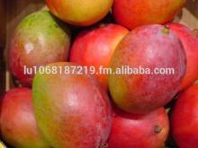 Fresh mangoes