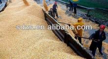 good quality yellow corn for animal feed grade specification