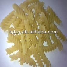  different   types  of high quality pasta