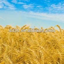 pp woven bag for wheat flour with best price
