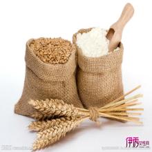 Ukraine  wheat   wheat   flour  for  bread   quality  for sale